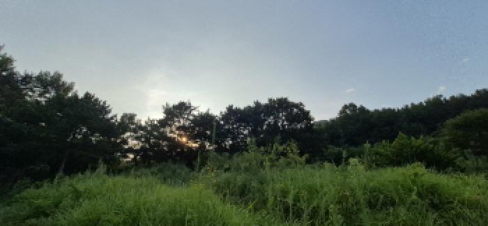 사진 14