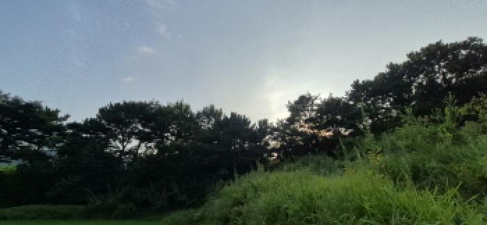 사진 15
