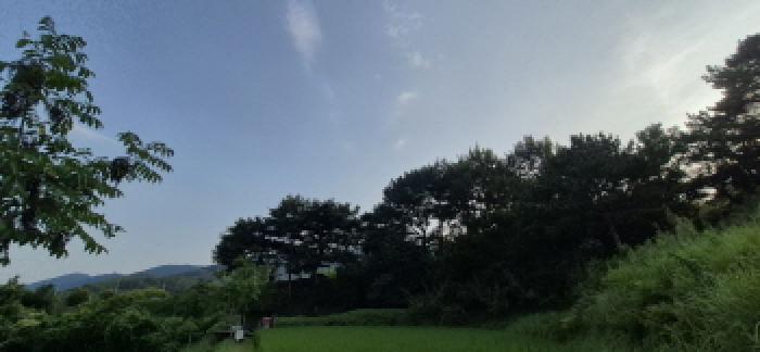 사진 16