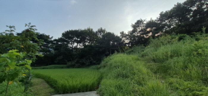 사진 17