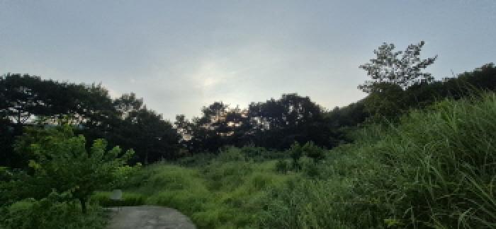 사진 10