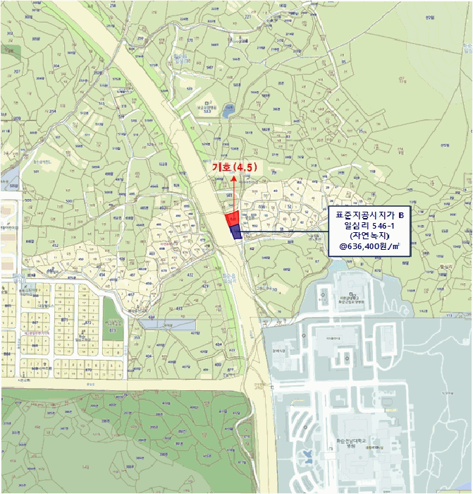 사진 16