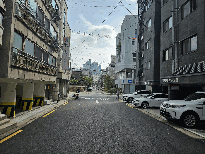 사진 12