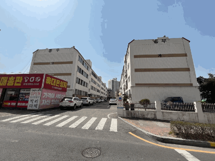 사진 11