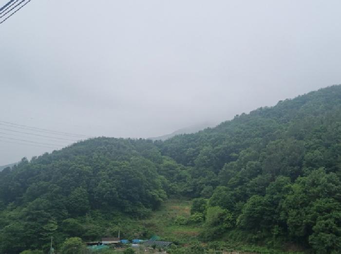 사진 18