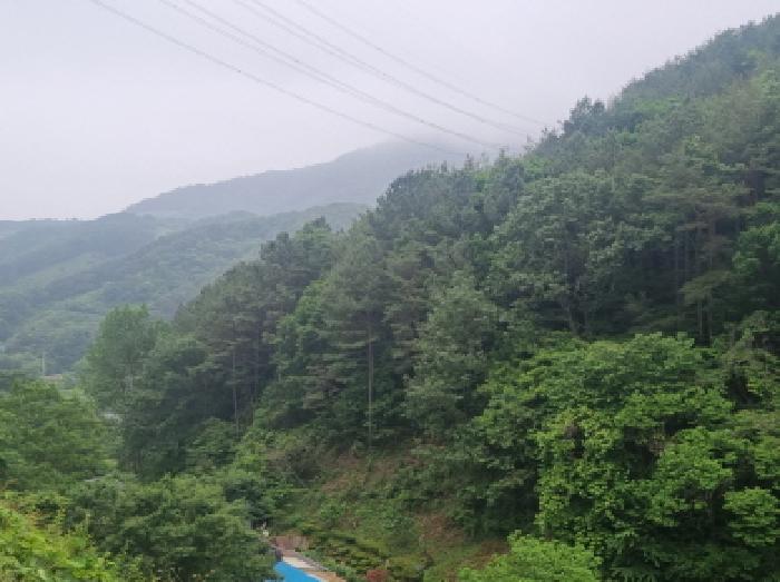 사진 21