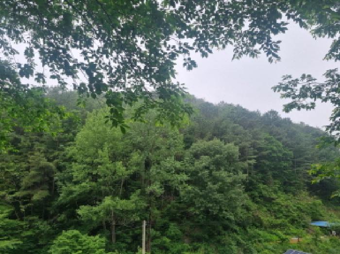 사진 22