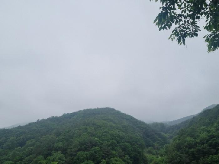 사진 30