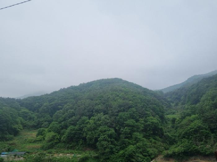 사진 31