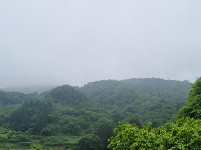 사진 33