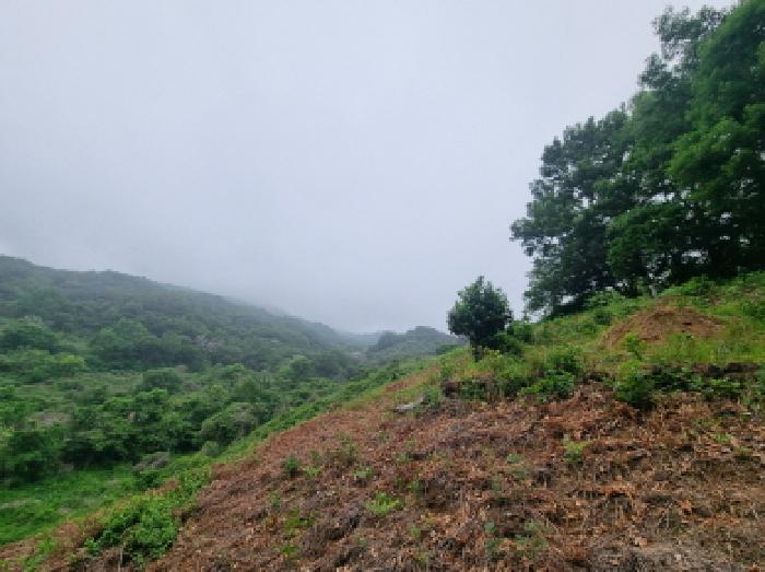 사진 36