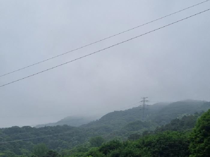 사진 46