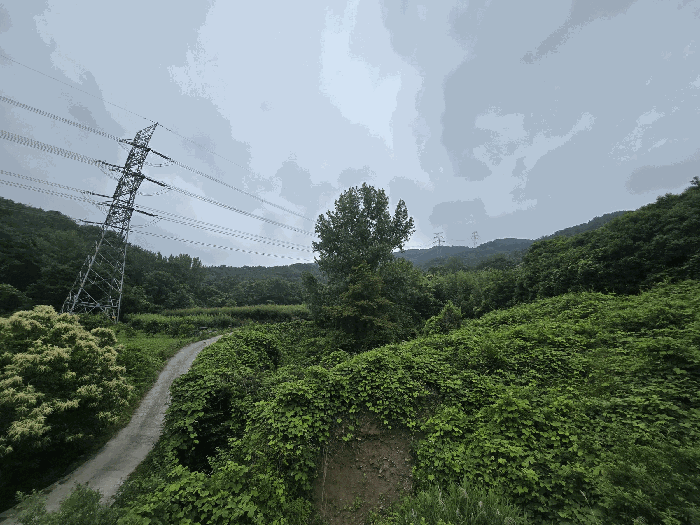 사진 53