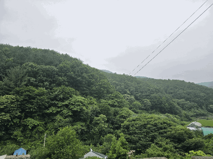 사진 59