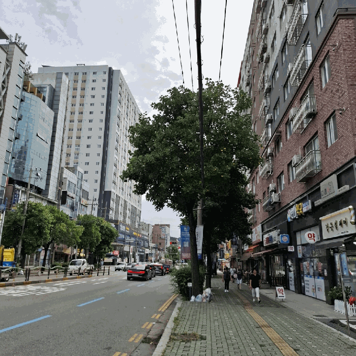 사진 3