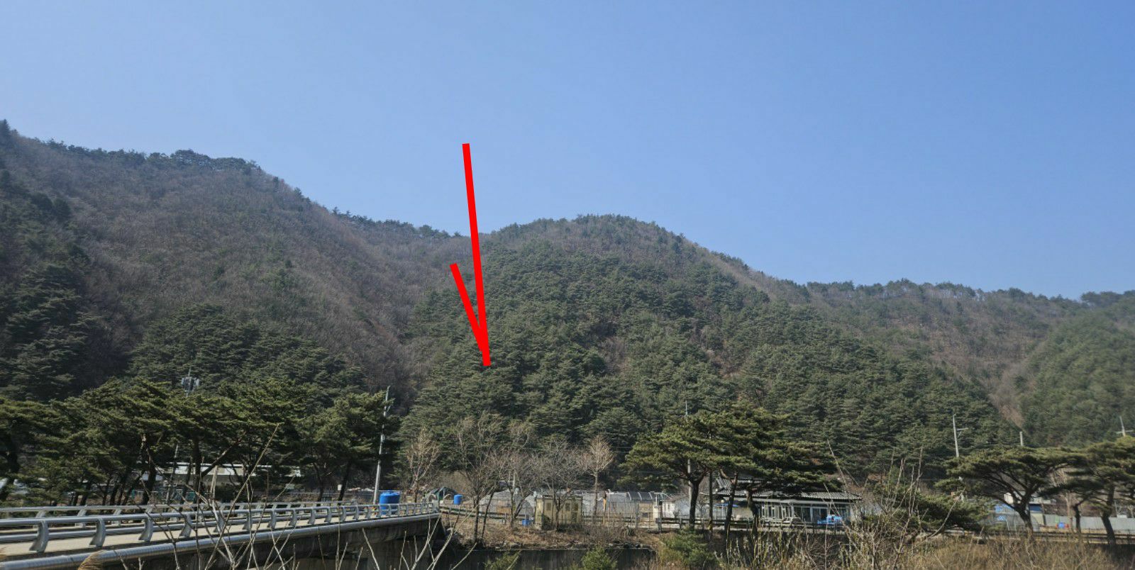 사진 1