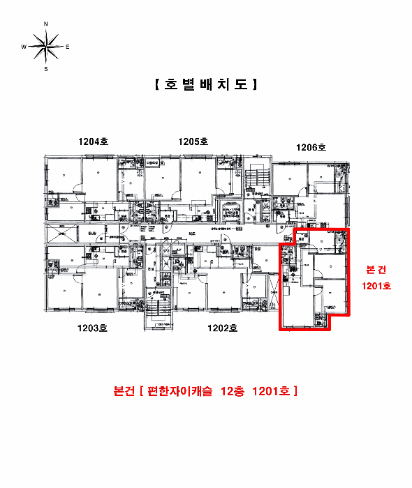 사진 10