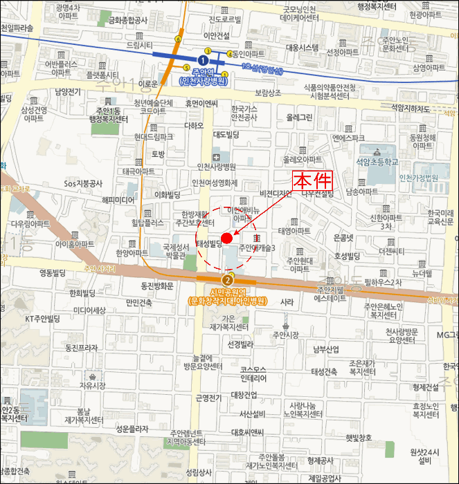 사진 12