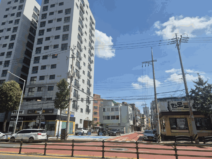 사진 5