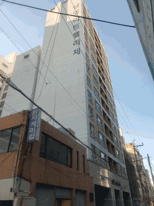 사진 14
