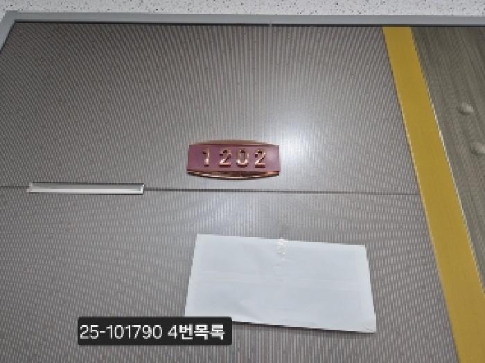 사진 7