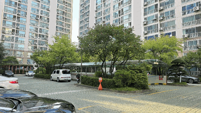 사진 11
