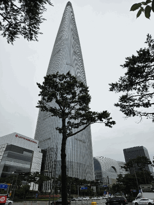 사진 9