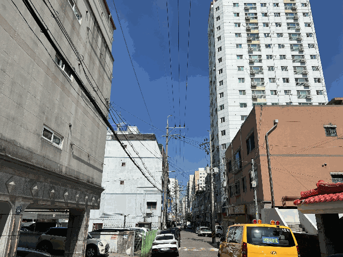 사진 13