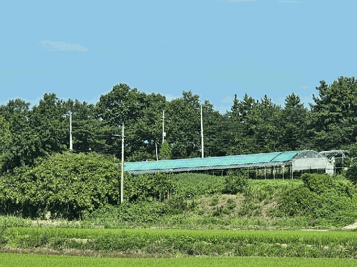 사진 13