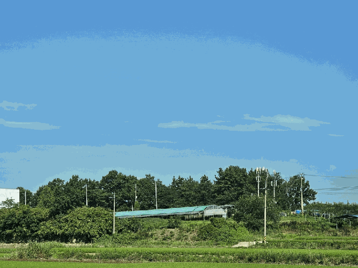 사진 1
