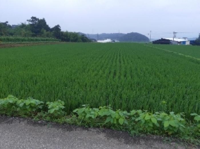 사진 21