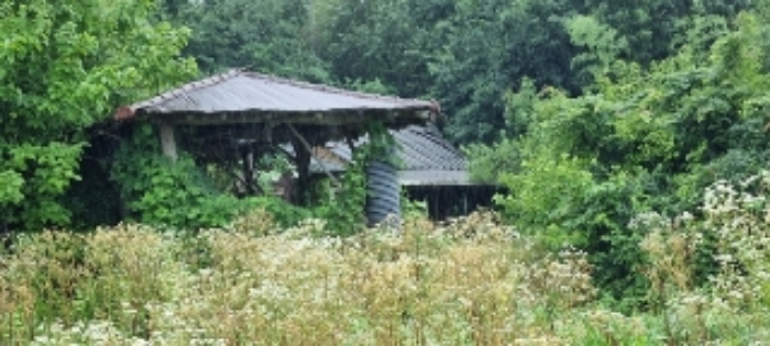 사진 30