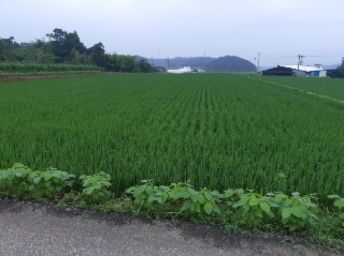사진 34