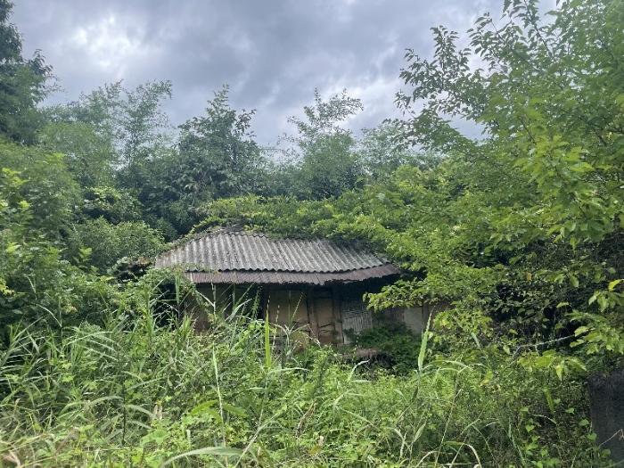사진 9
