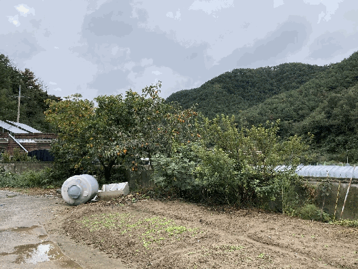 사진 18