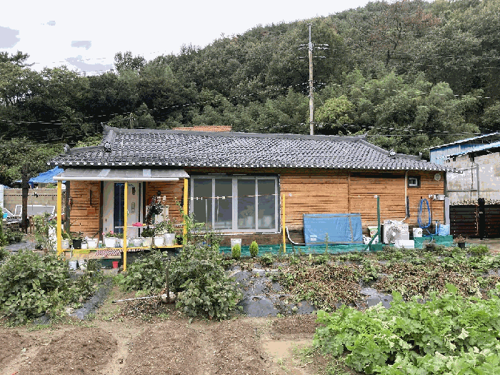 사진 4