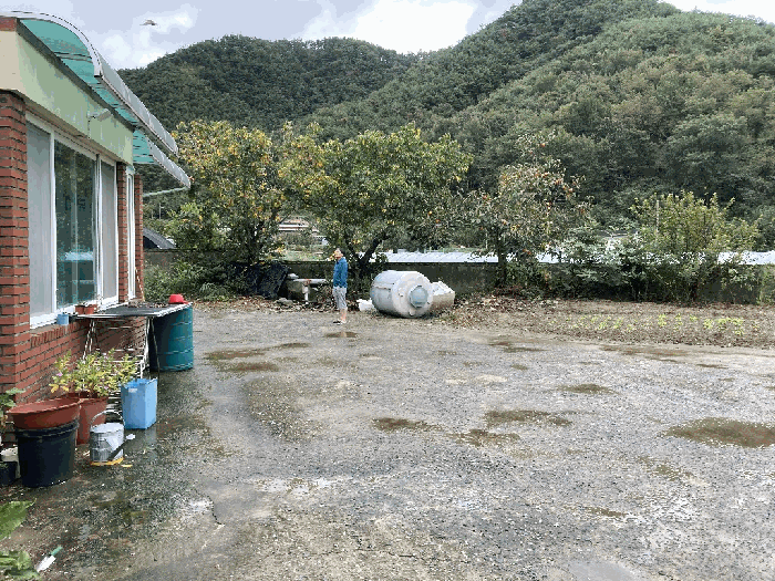 사진 8