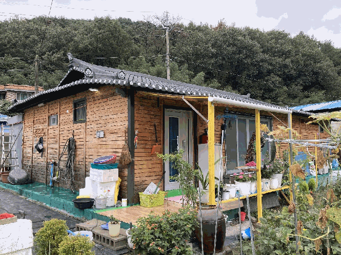 사진 9