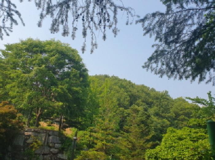 사진 2