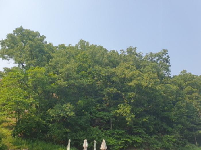 사진 5