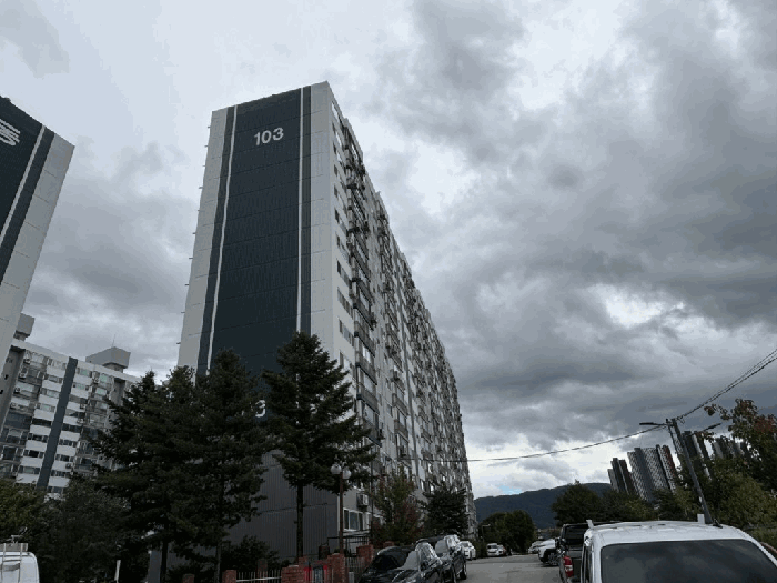 사진 4