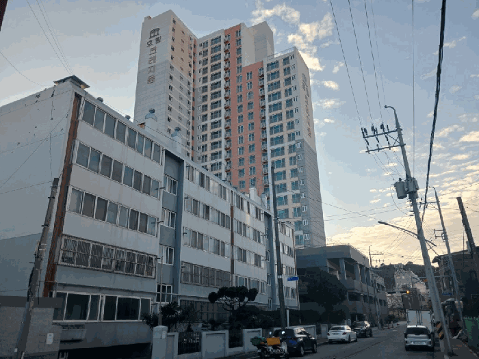 사진 1