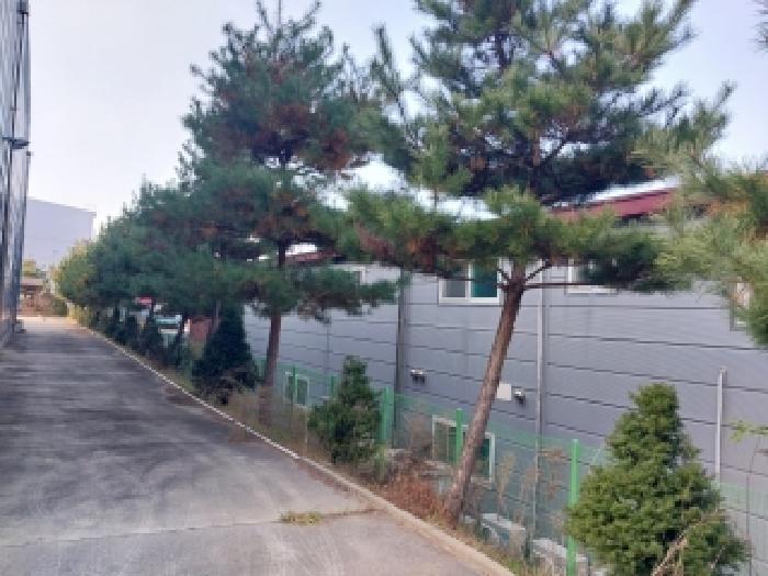 사진 29