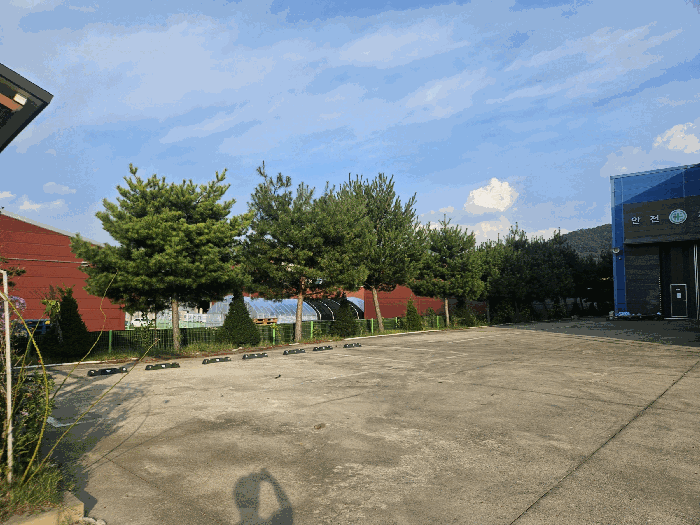 사진 9