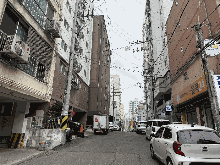 사진 11