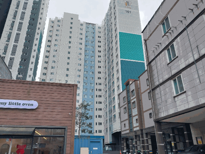 사진 3