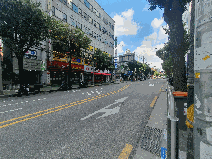 사진 5