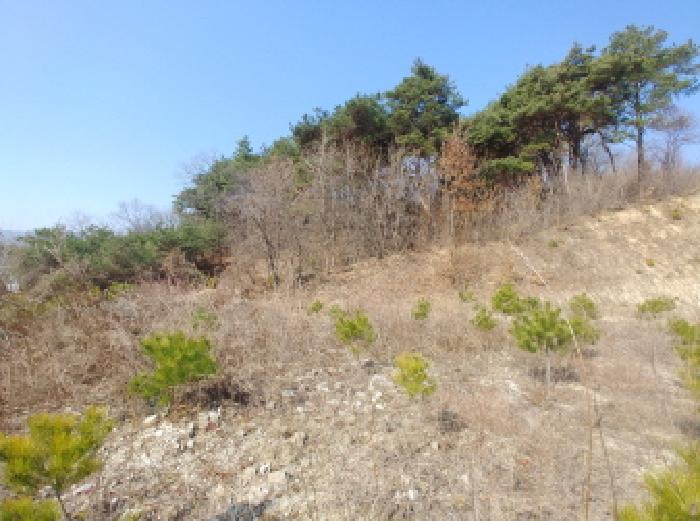 사진 85