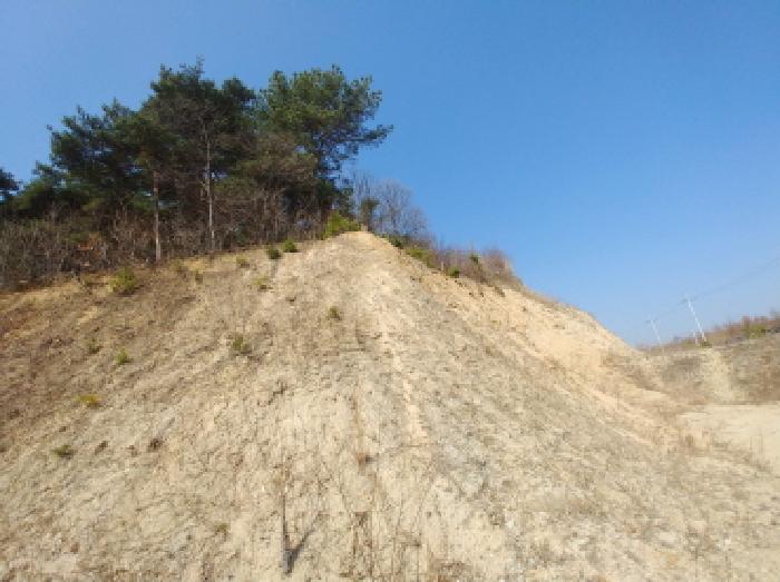 사진 91