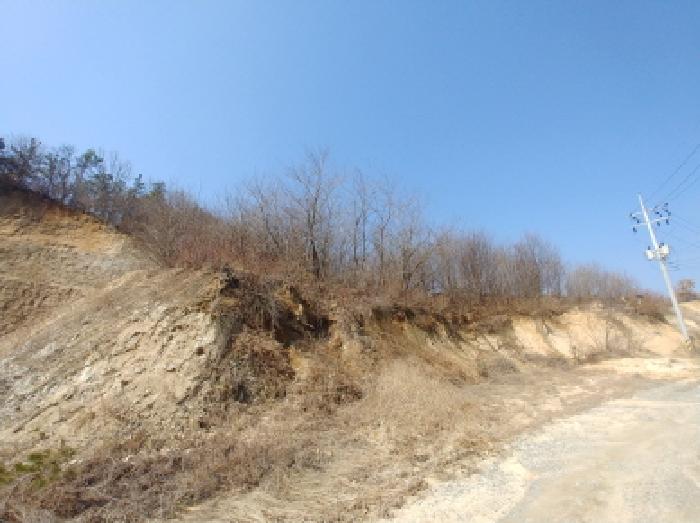 사진 110